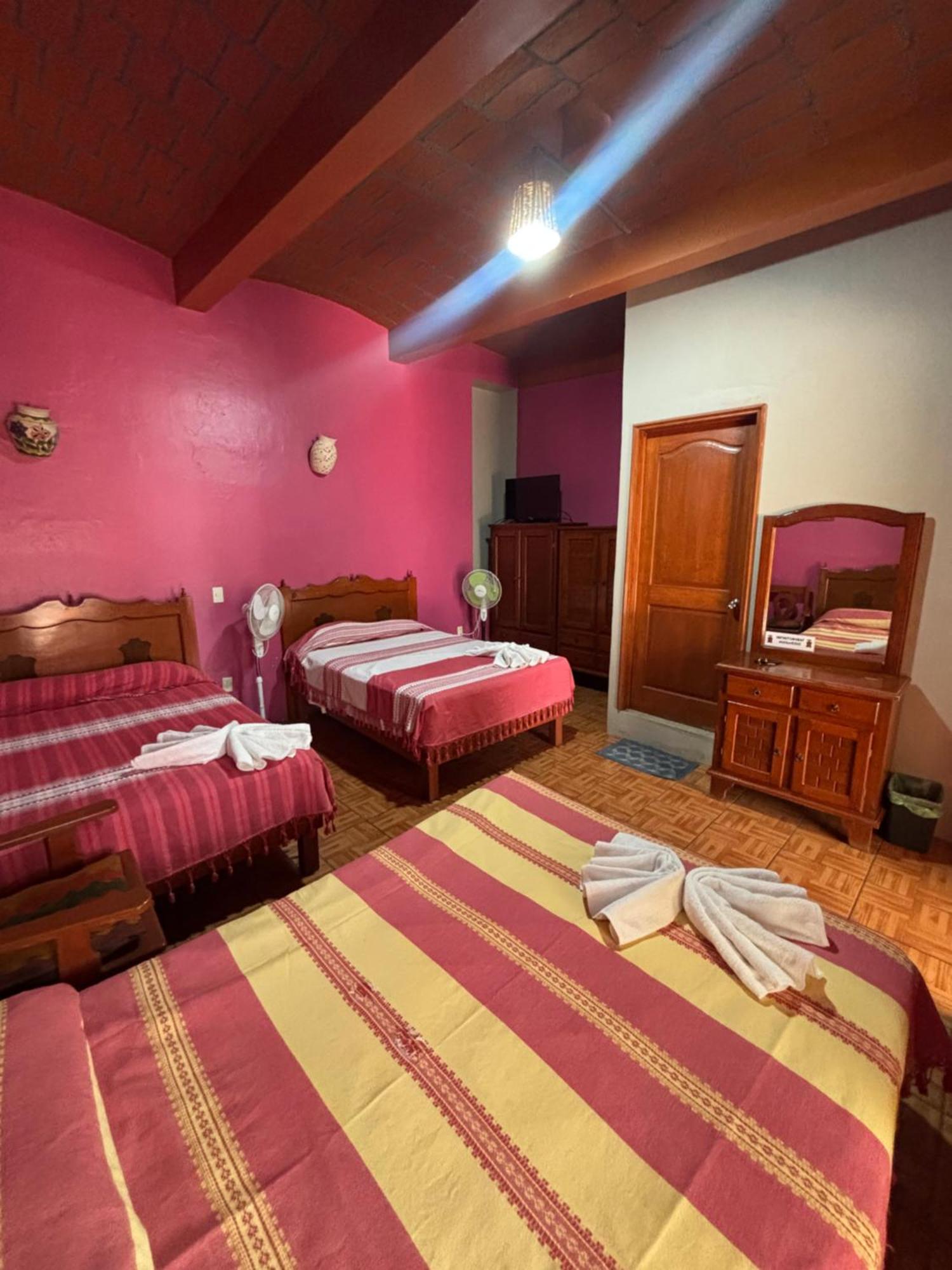 Hotel Posada "Mi Rosita" Oaxaca 外观 照片