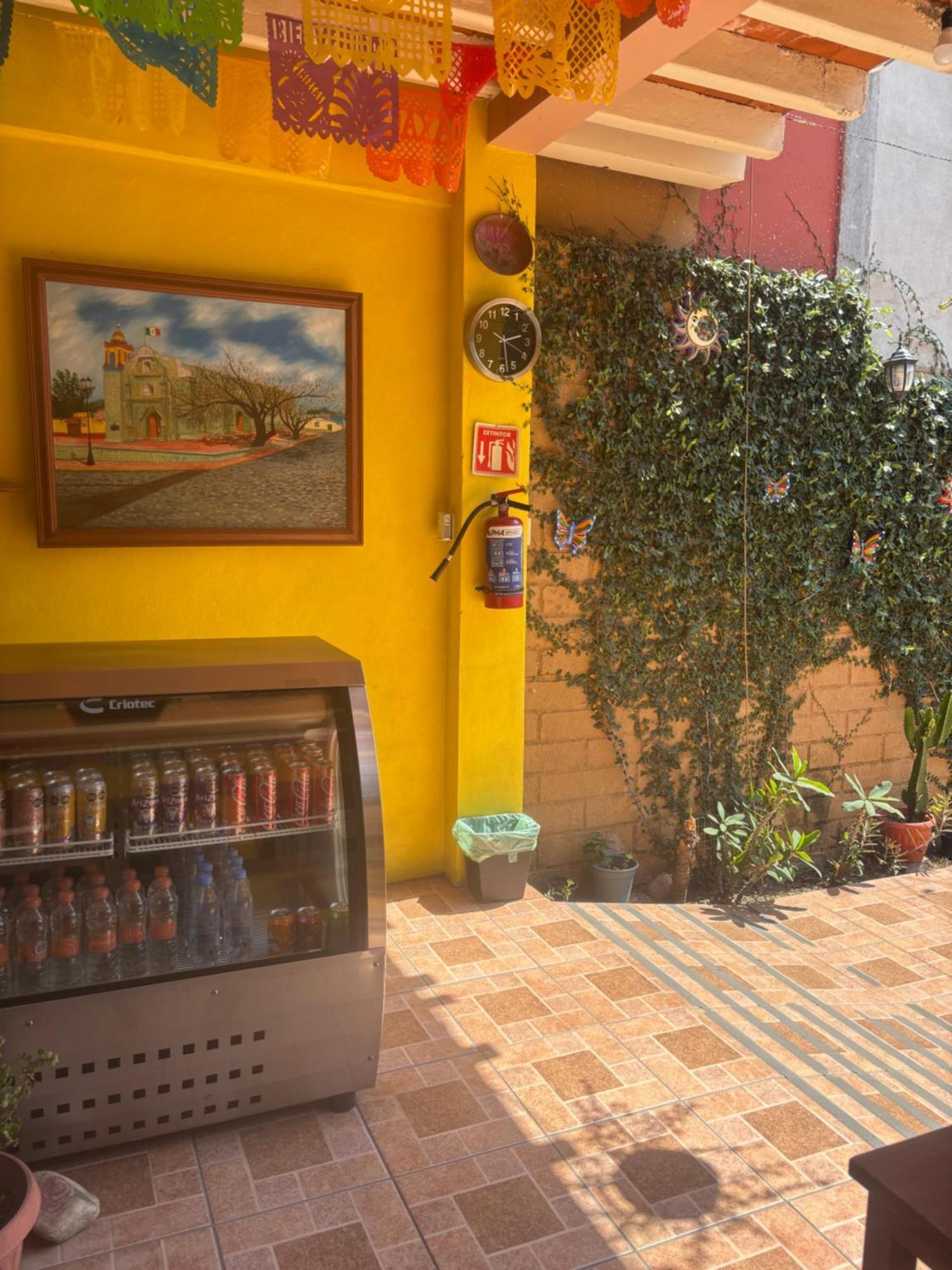 Hotel Posada "Mi Rosita" Oaxaca 外观 照片