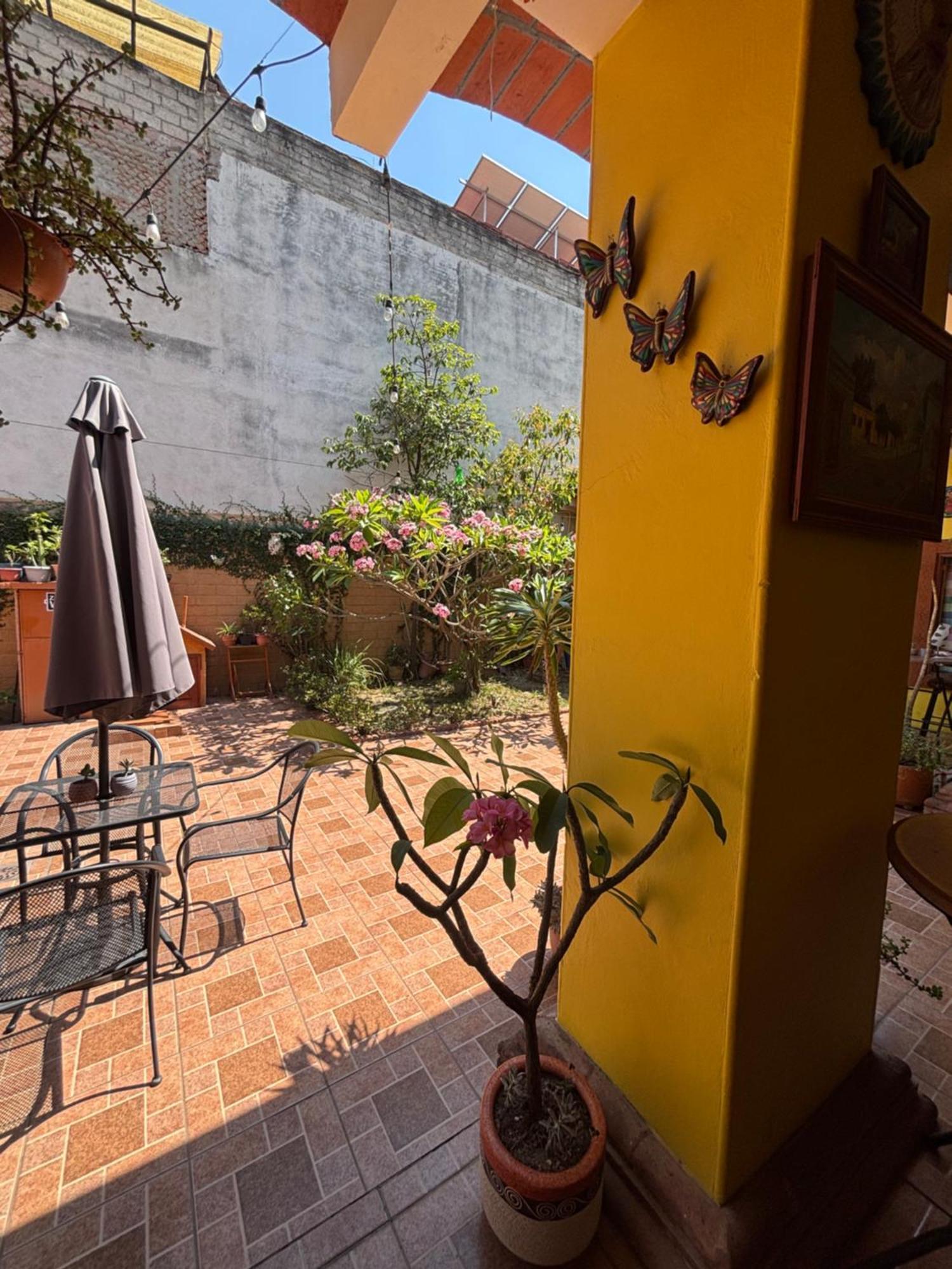 Hotel Posada "Mi Rosita" Oaxaca 外观 照片
