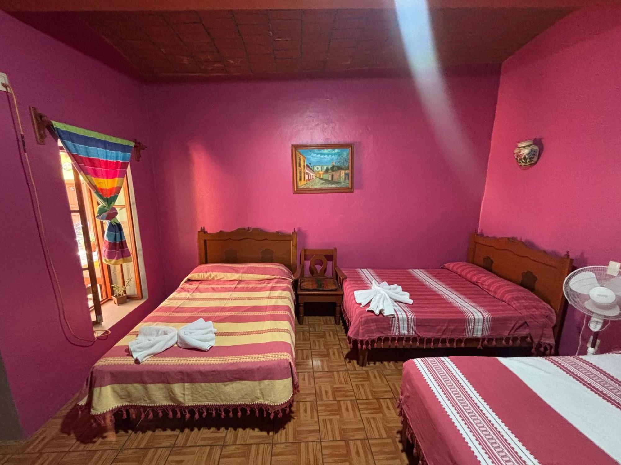 Hotel Posada "Mi Rosita" Oaxaca 外观 照片
